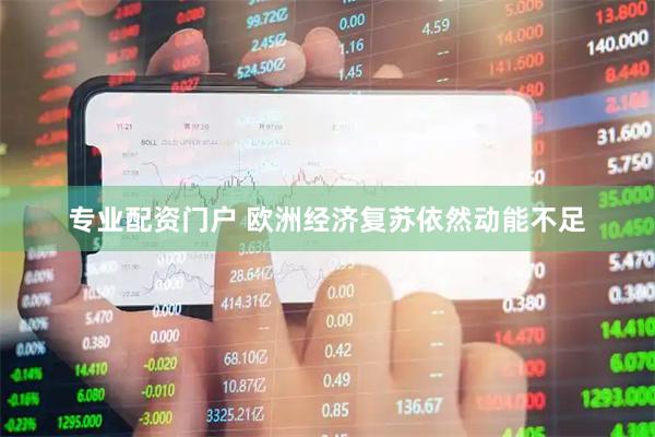 专业配资门户 欧洲经济复苏依然动能不足